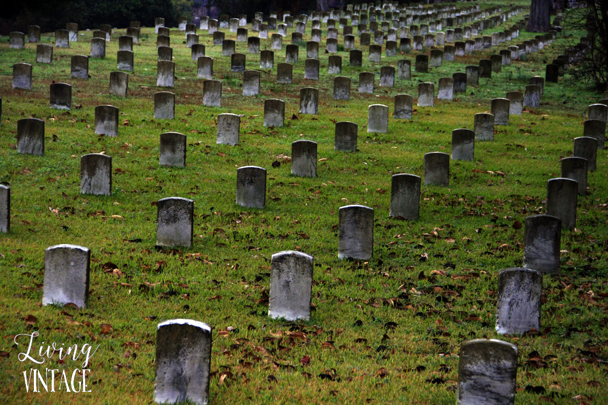 the graveyards at Vicksburg National Military Park