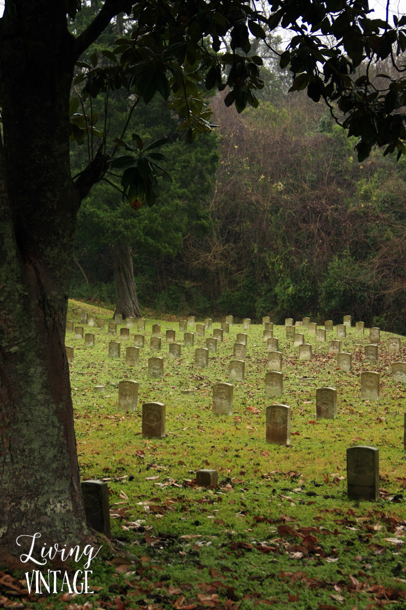 the graveyards at Vicksburg National Military Park