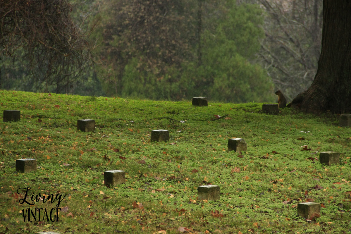 the graveyards at Vicksburg National Military Park