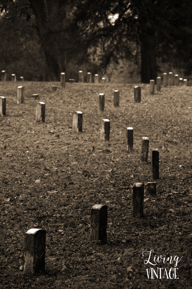 the graveyards at Vicksburg National Military Park