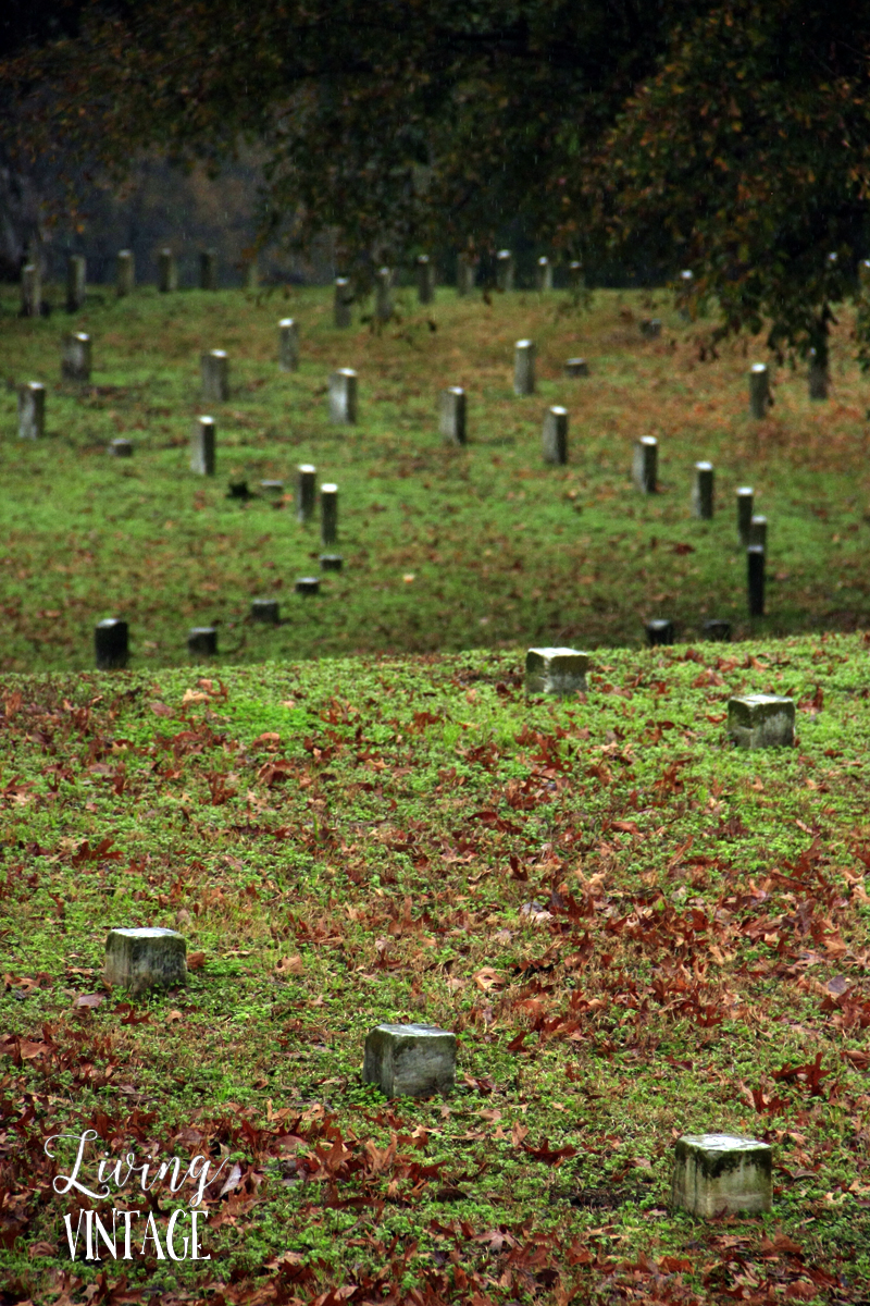 the graveyards at Vicksburg National Military Park