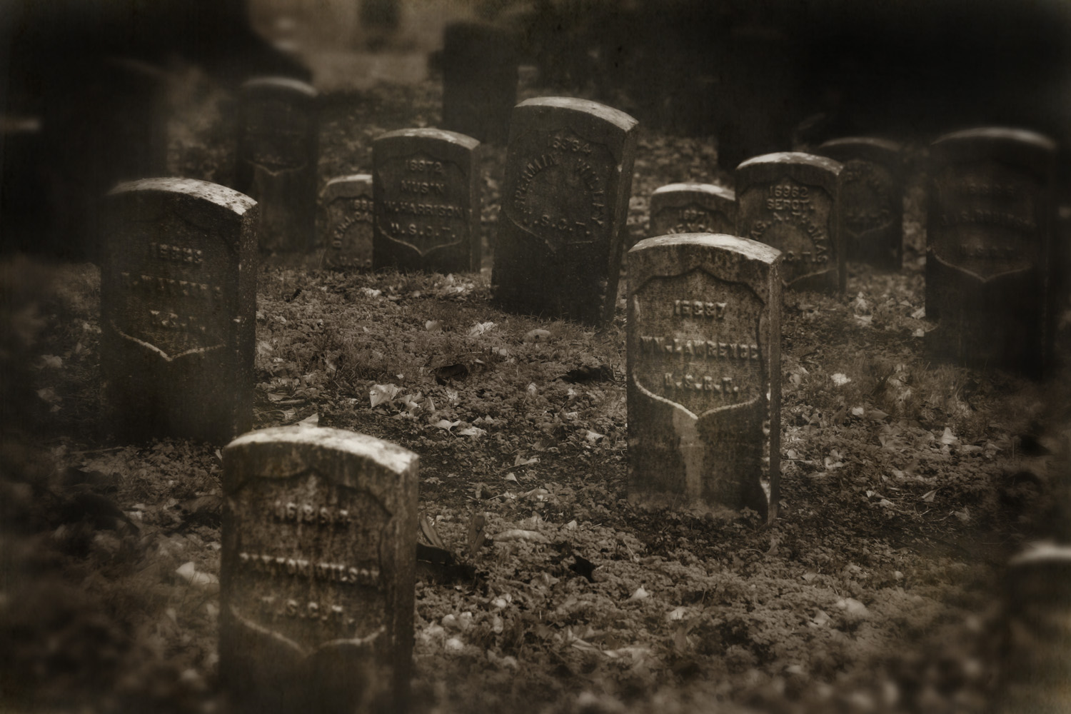 the graveyards at Vicksburg National Military Park