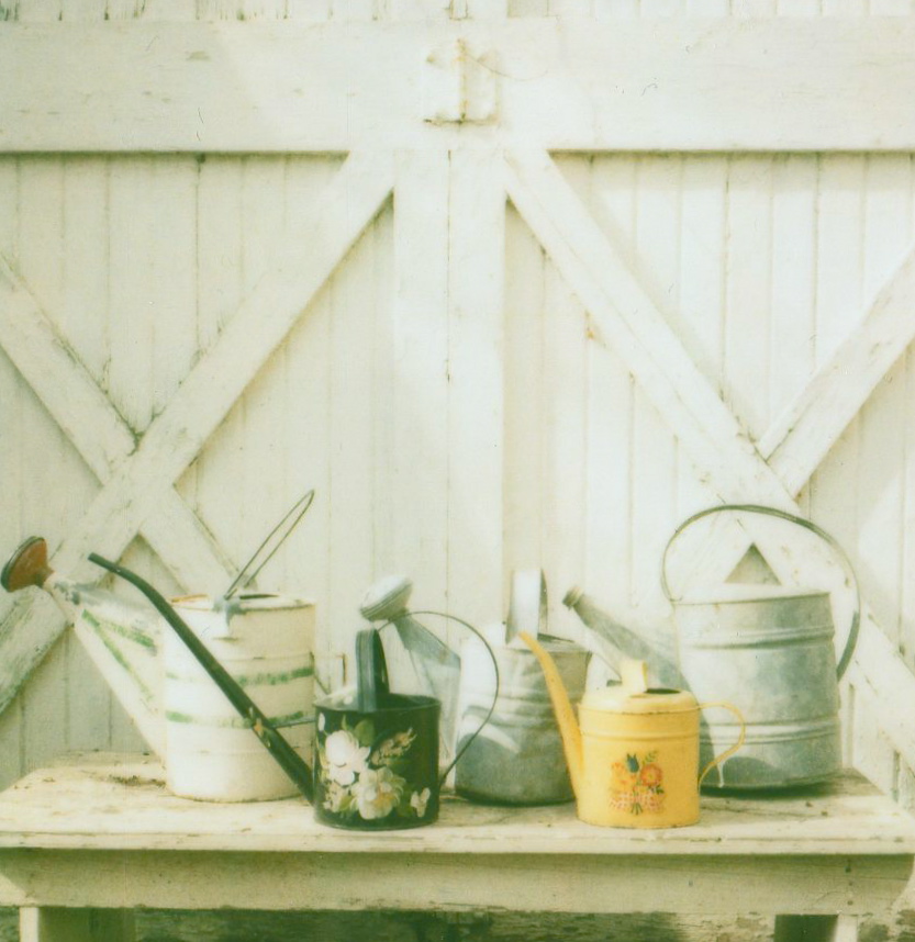 a nice collection of watering cans (and I love the barn doors)