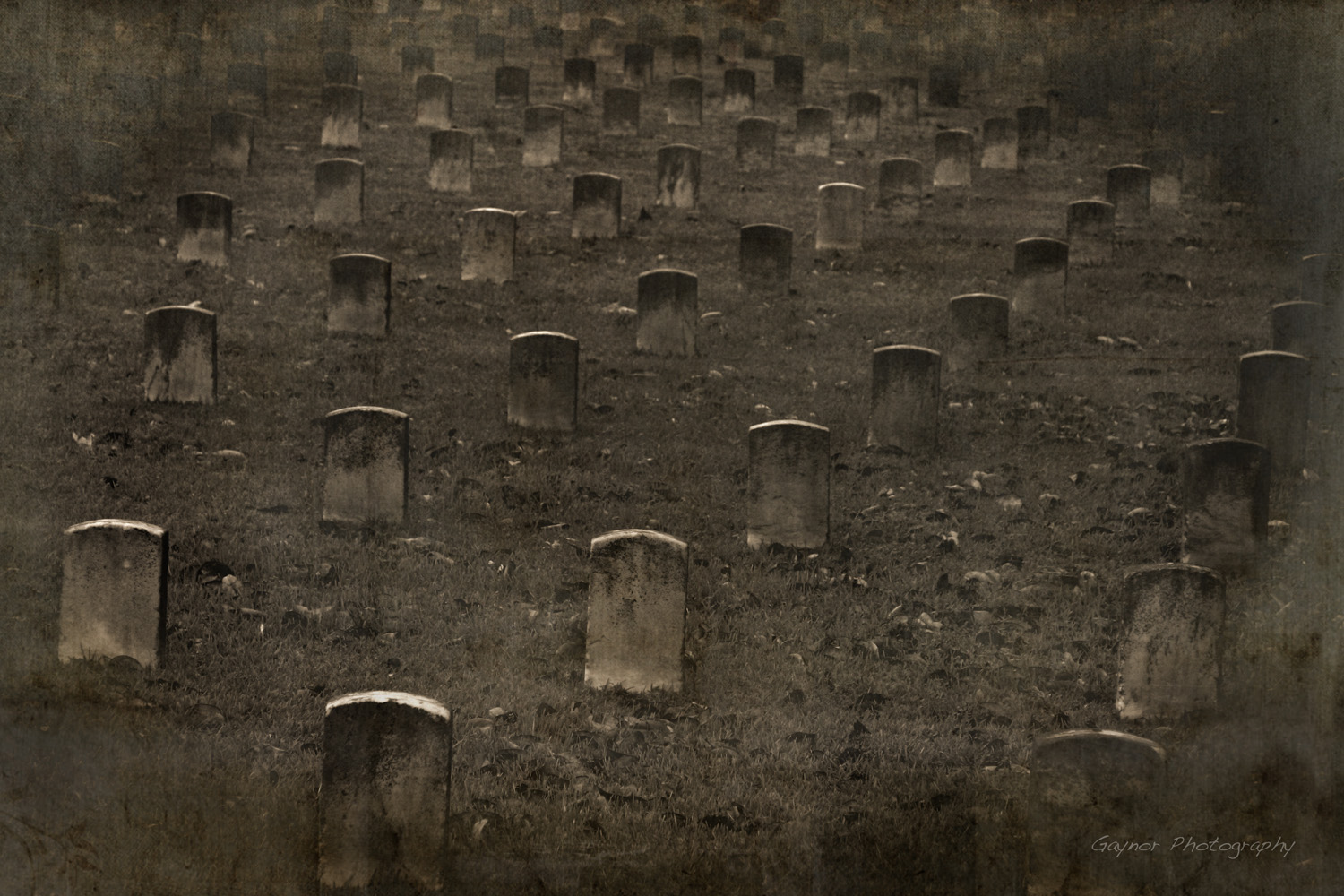 the graveyards at Vicksburg National Military Park