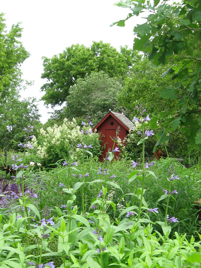 a gorgeous garden and a shed as cute as it can be