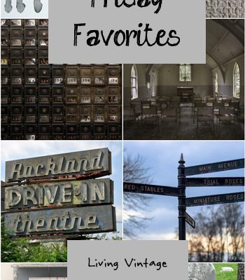 Friday Favorites #142