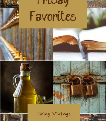 Friday Favorites #151