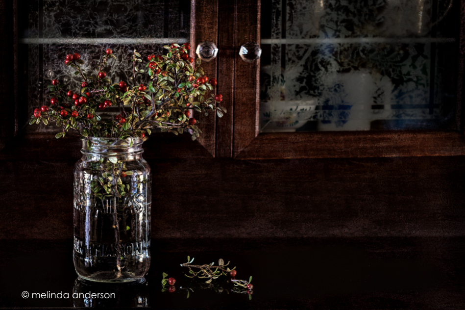 a moody and beautiful still life