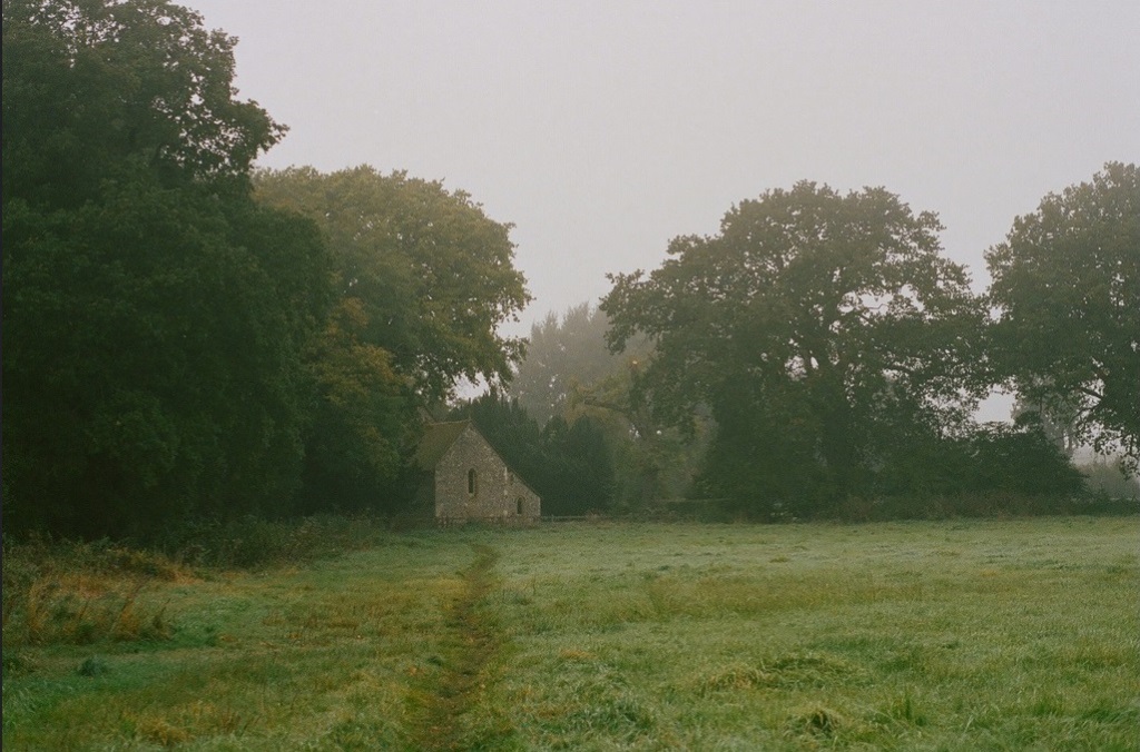 a tiny church nestled in the woods on a beautiful misty day