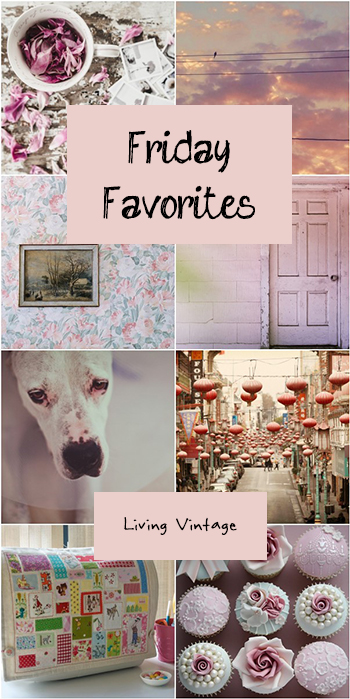 Friday Favorites #149